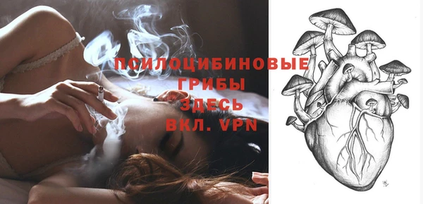 крисы Алексин