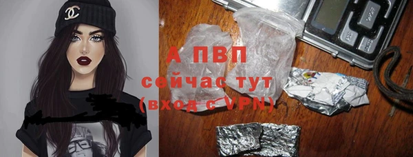 крисы Алексин